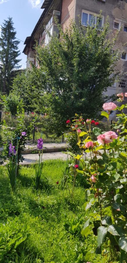 La Mihai Lupeni  المظهر الخارجي الصورة